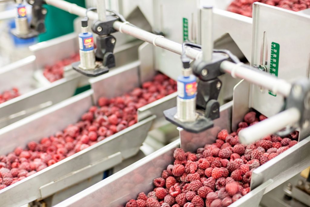 Cadeia agroalimentar: os desafios da segurança alimentar