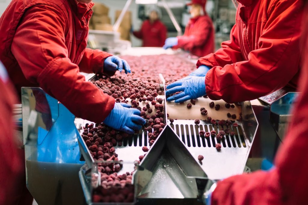 Segurança alimentar na produção: os desafios que começam antes da fábrica